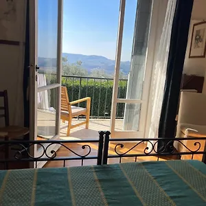 Sei Cipressi Impruneta